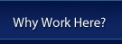 Why Work Here?